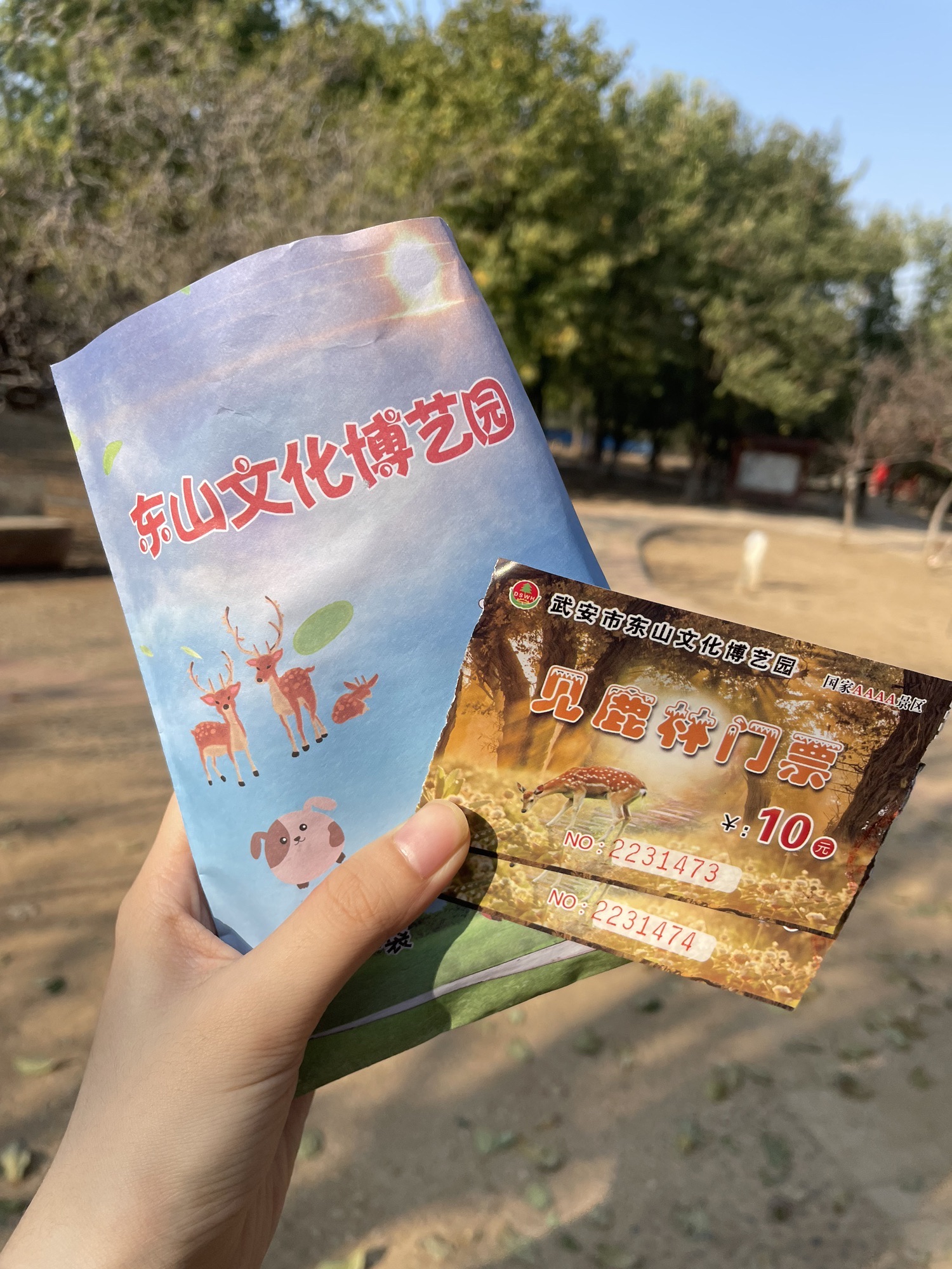 东山森林公园旅行图片 2
