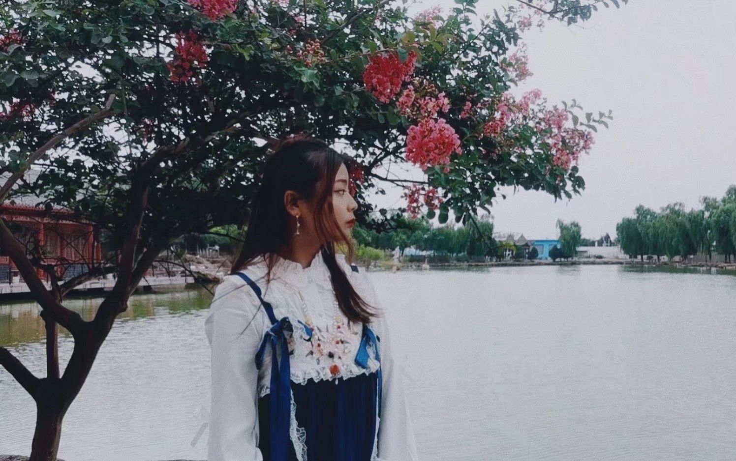 东山森林公园旅行图片 1