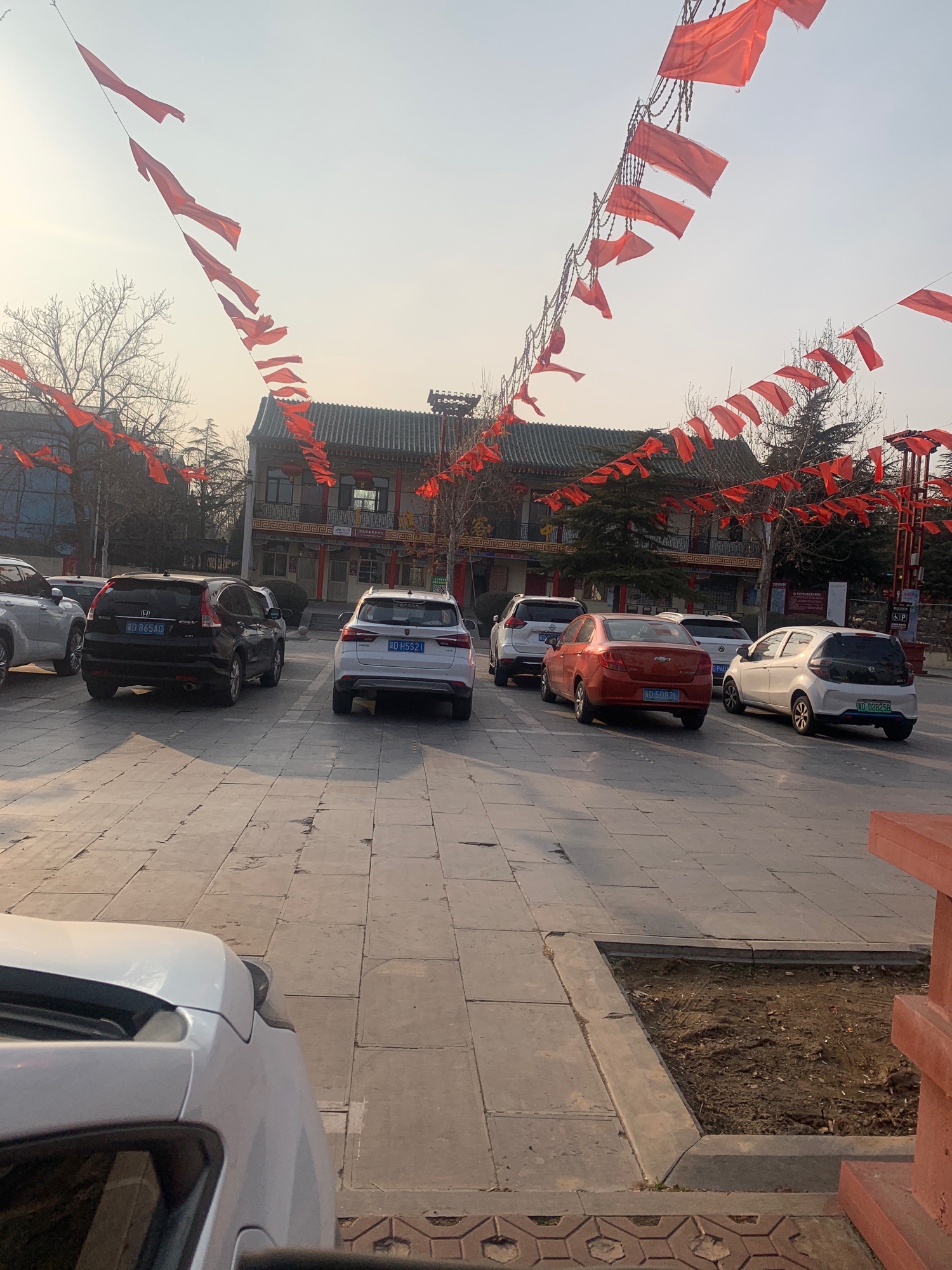 东山森林公园旅行图片 2