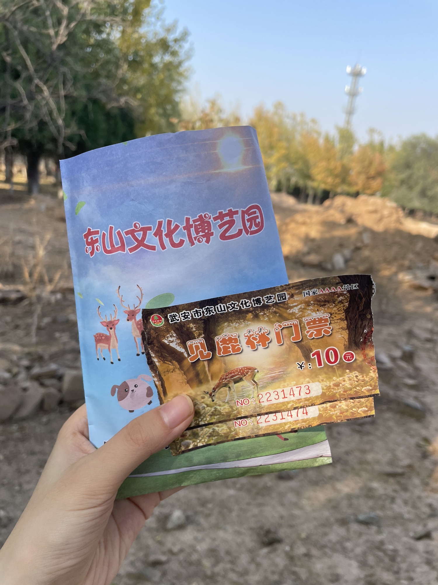 东山森林公园旅行图片 1