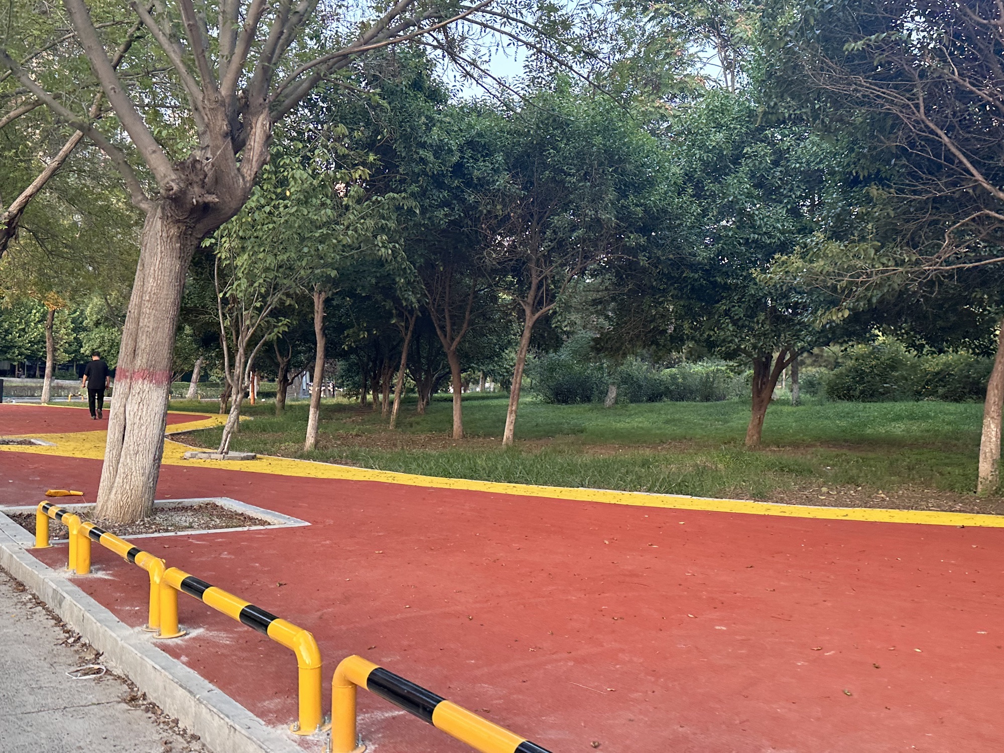罗城头公园旅行图片 1