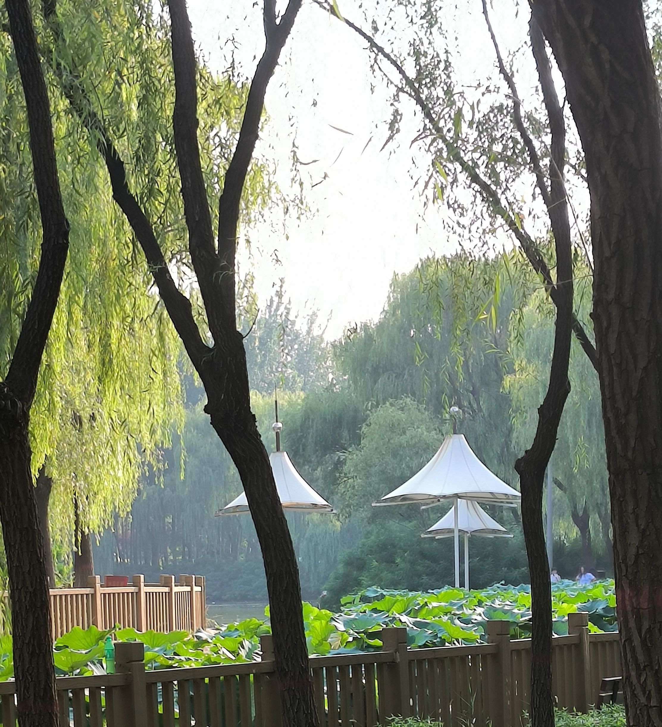 广安公园旅行图片 1