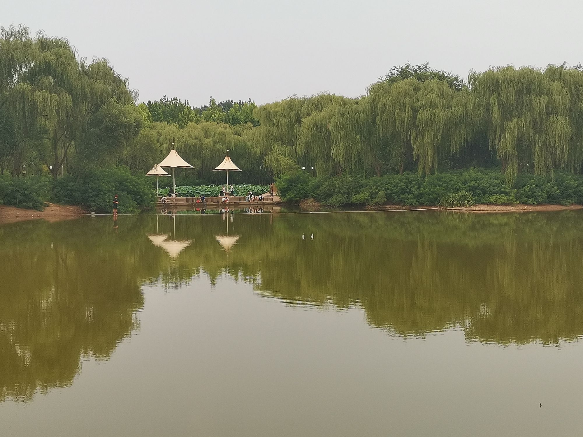 广安公园旅行图片