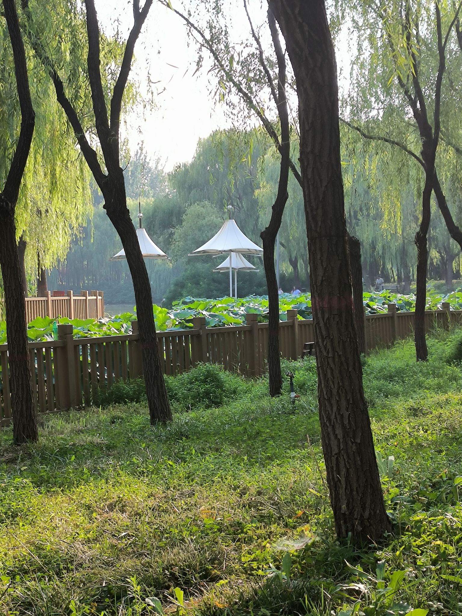 广安公园旅行图片 3