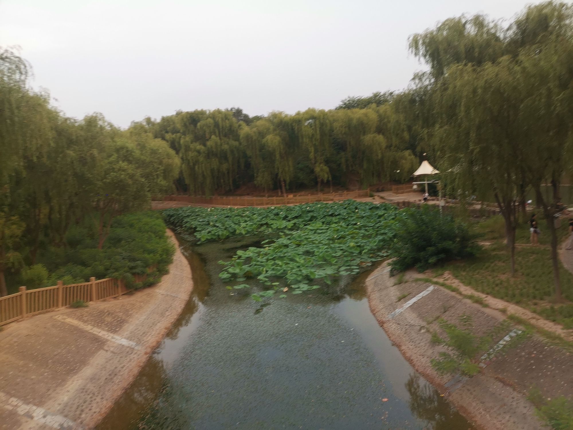 广安公园旅行图片 3