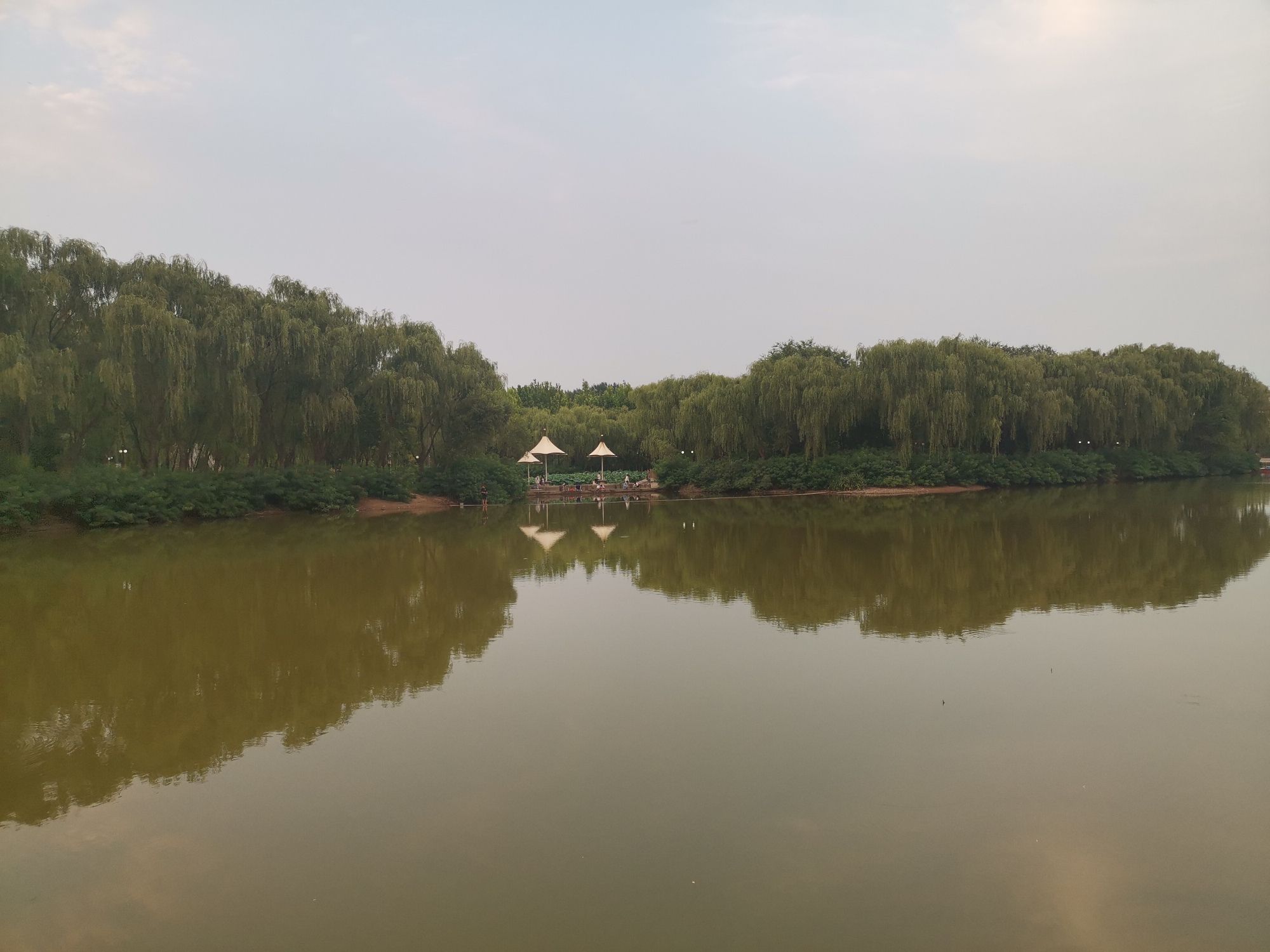 广安公园旅行图片 2