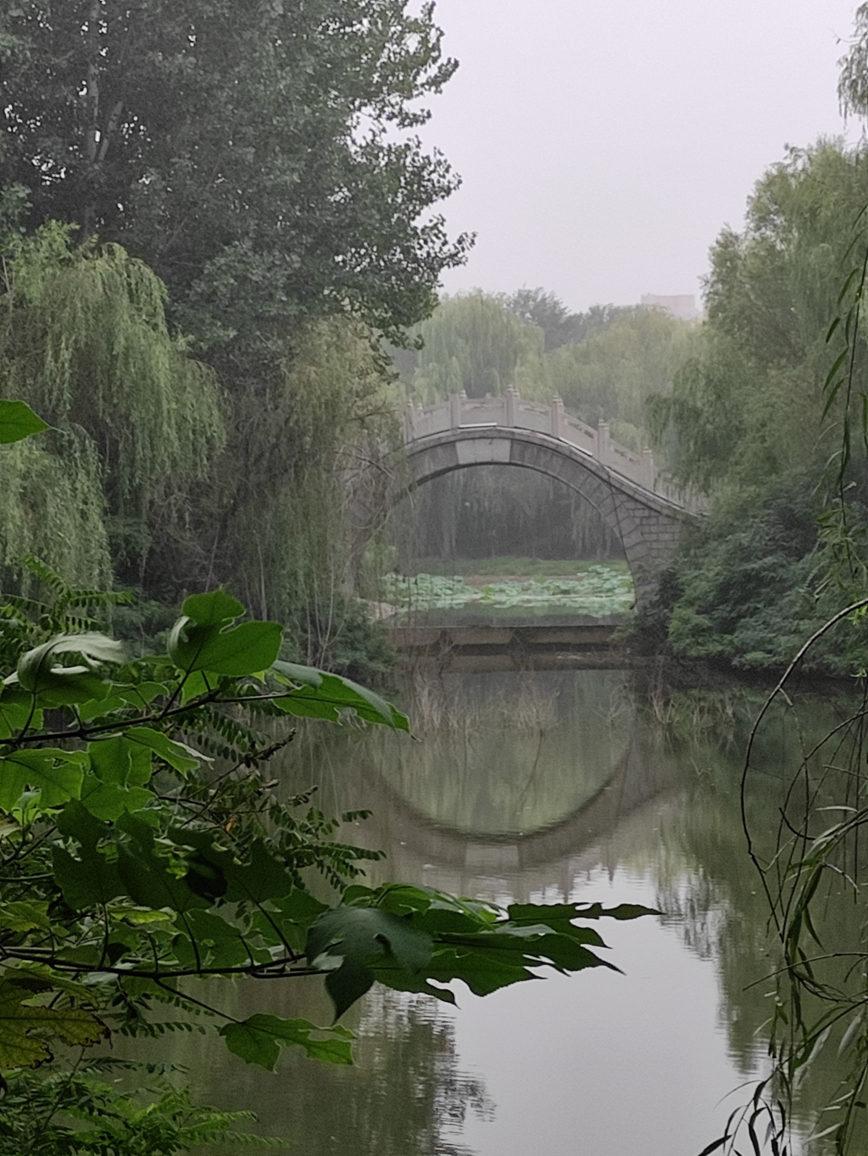 广安公园旅行图片 2