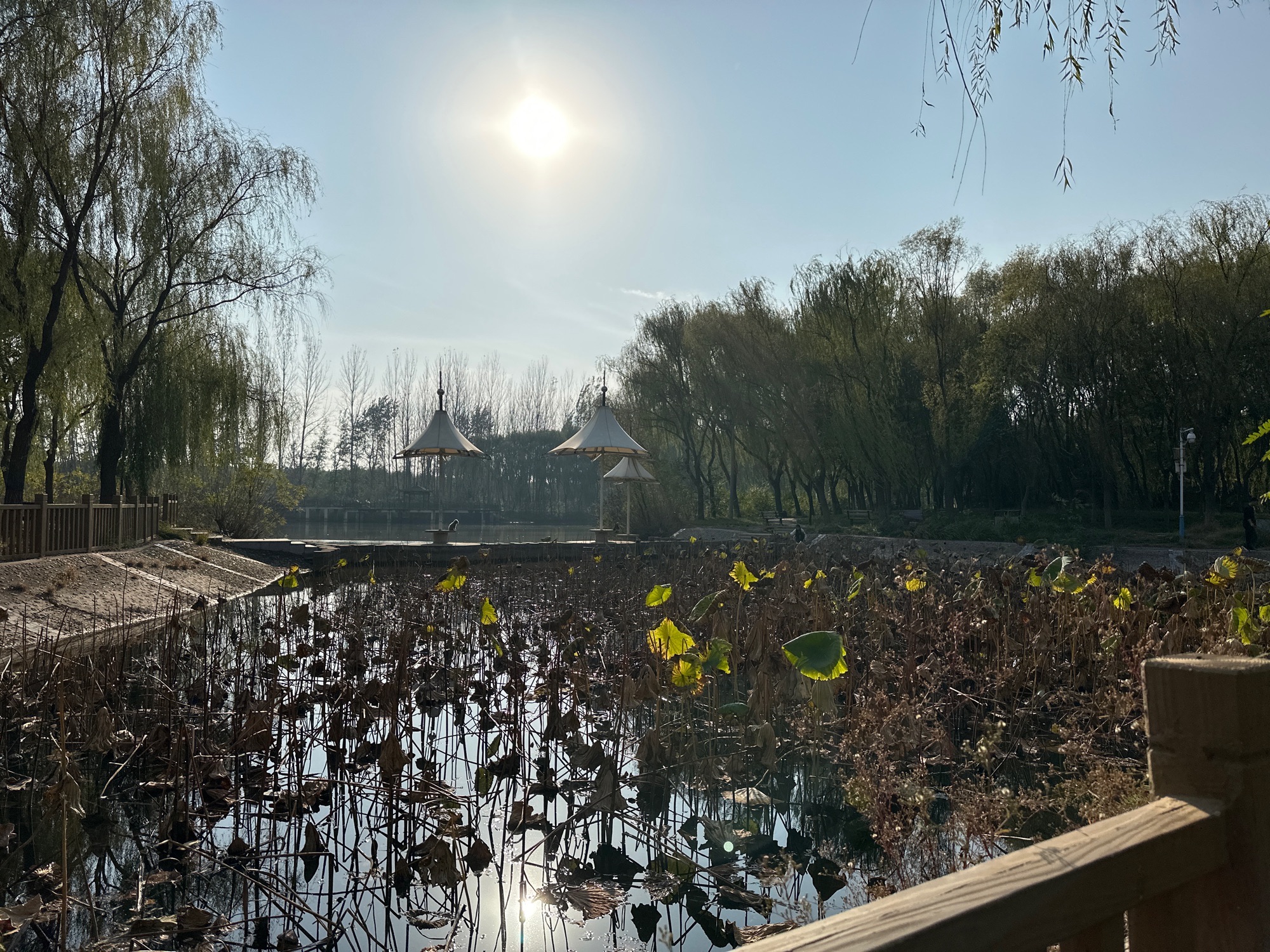广安公园旅行图片 1