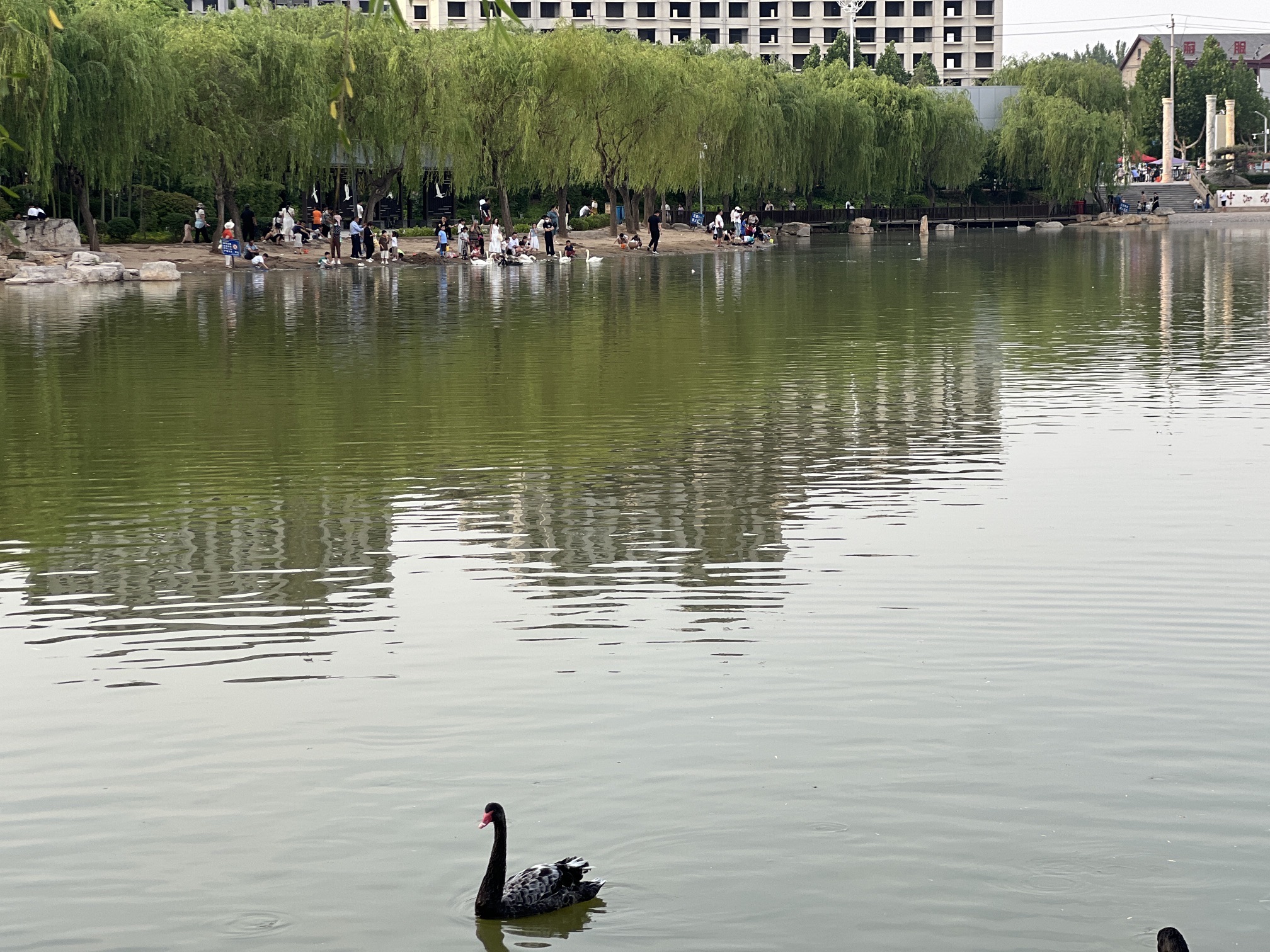 东湖公园旅行图片 2