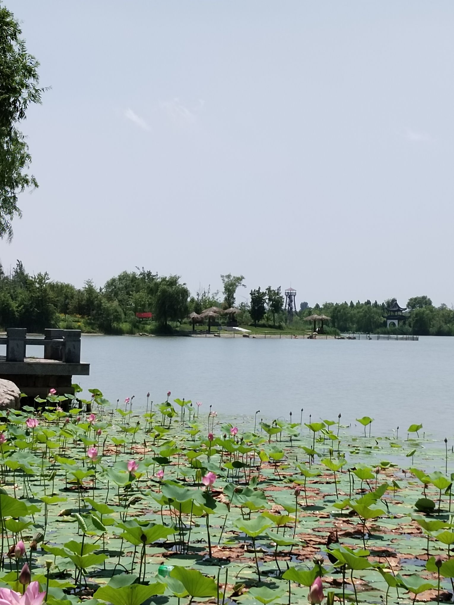 东湖公园旅行图片 3