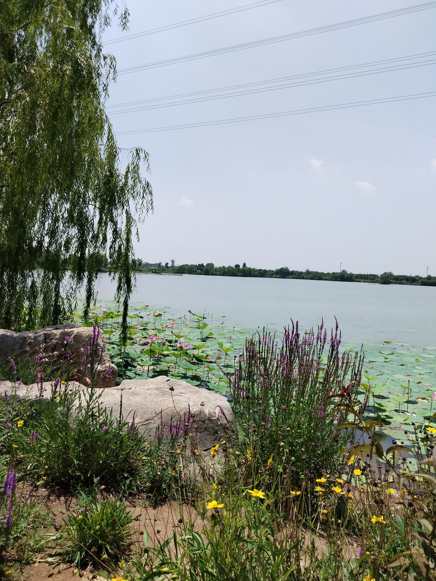 东湖公园旅行图片 2