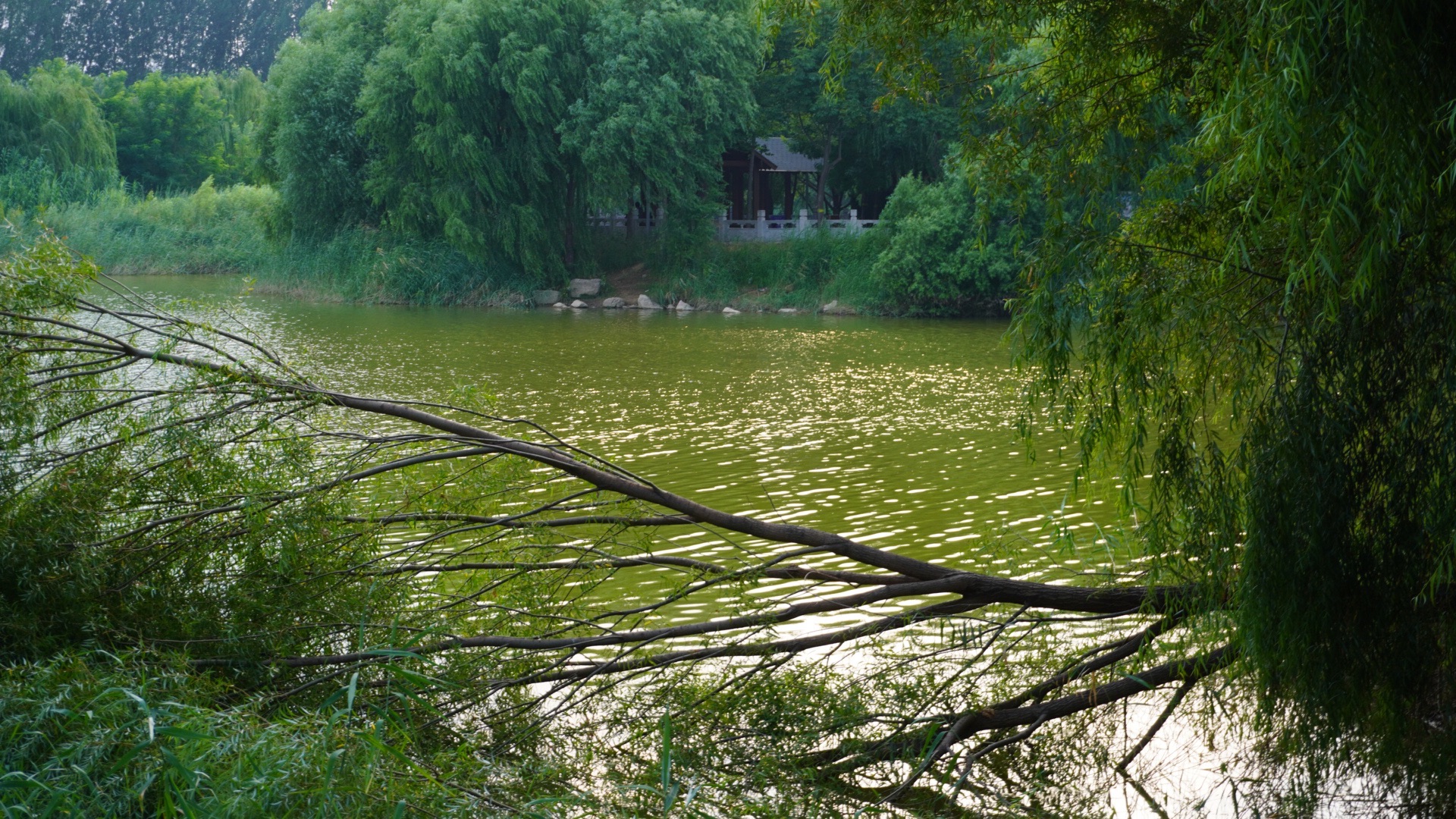 东湖公园旅行图片 3