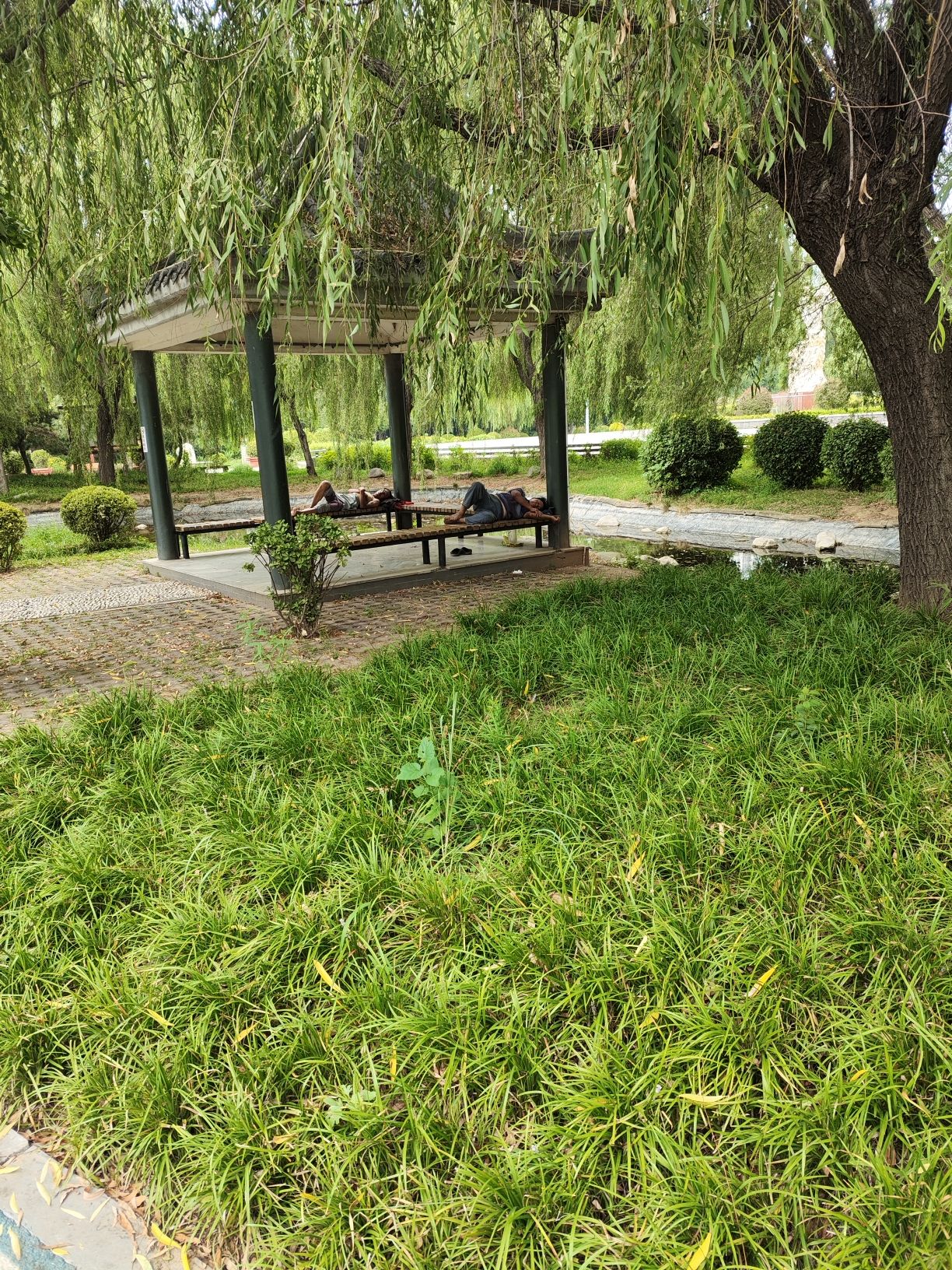 金凤公园旅行图片 3