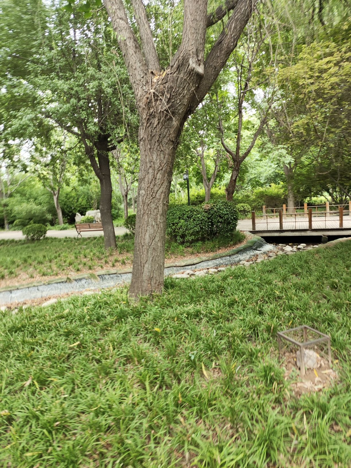 金凤公园旅行图片 2