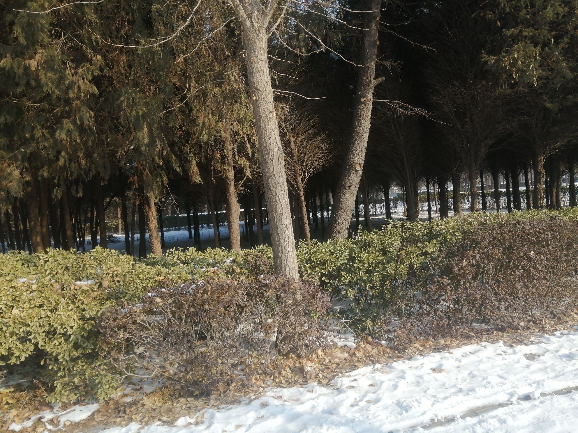 邺令公园旅行图片 3