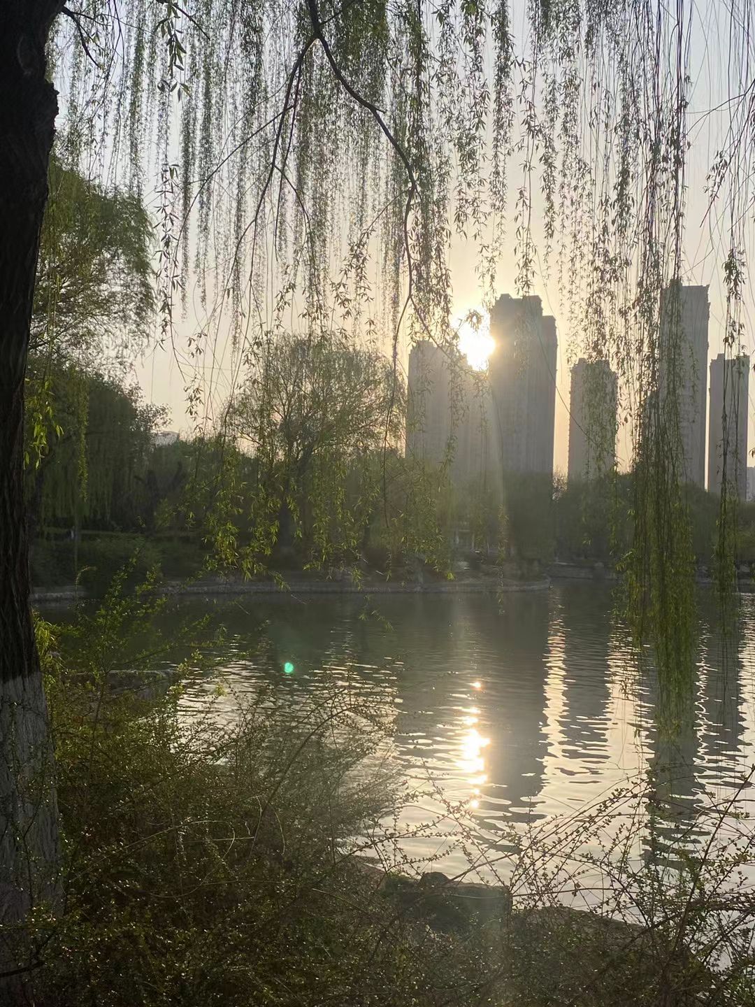 滏阳公园旅行图片 3