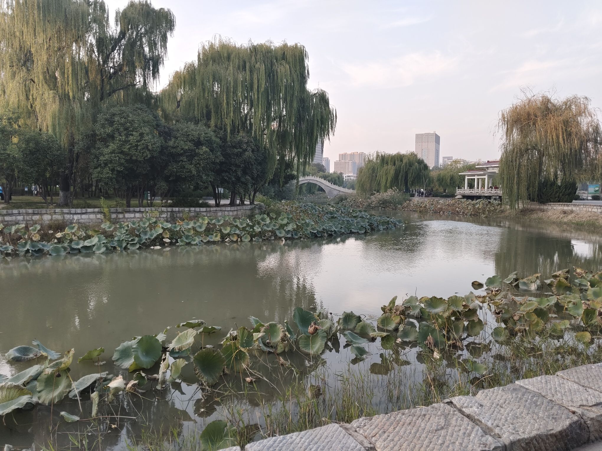 滏阳公园旅行图片 3