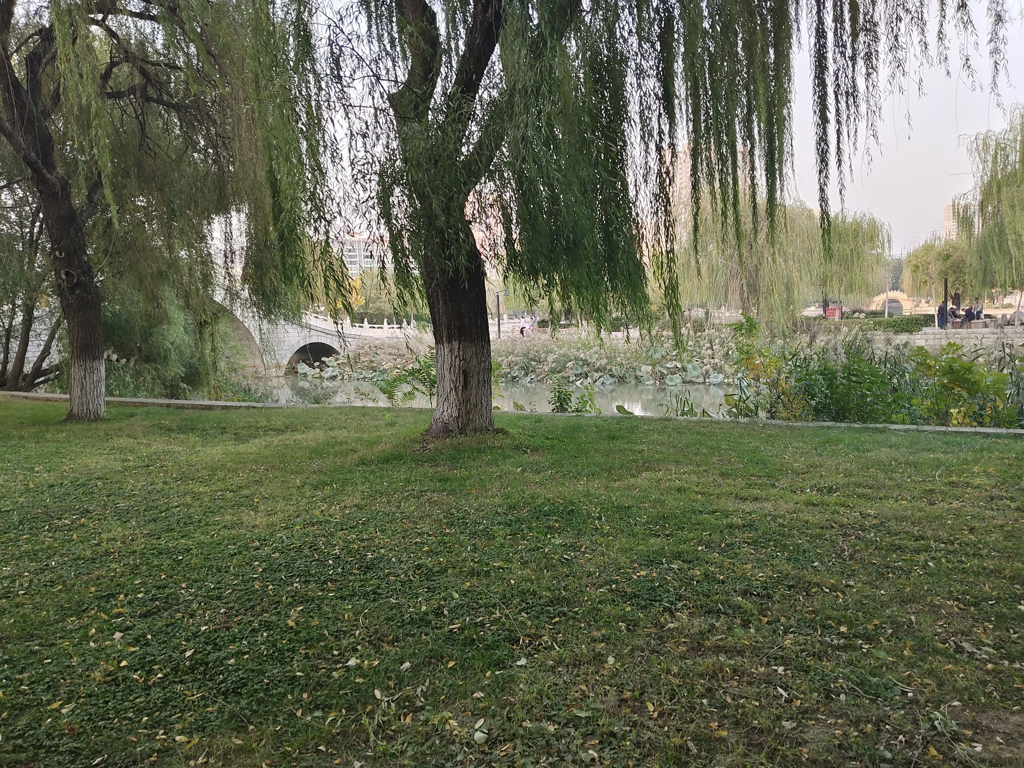 滏阳公园旅行图片 2