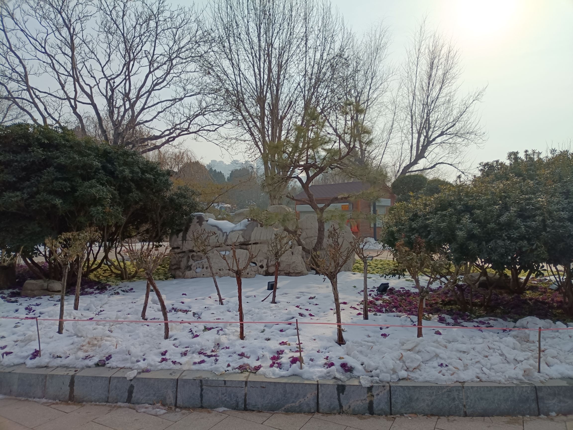 滏阳公园旅行图片 3