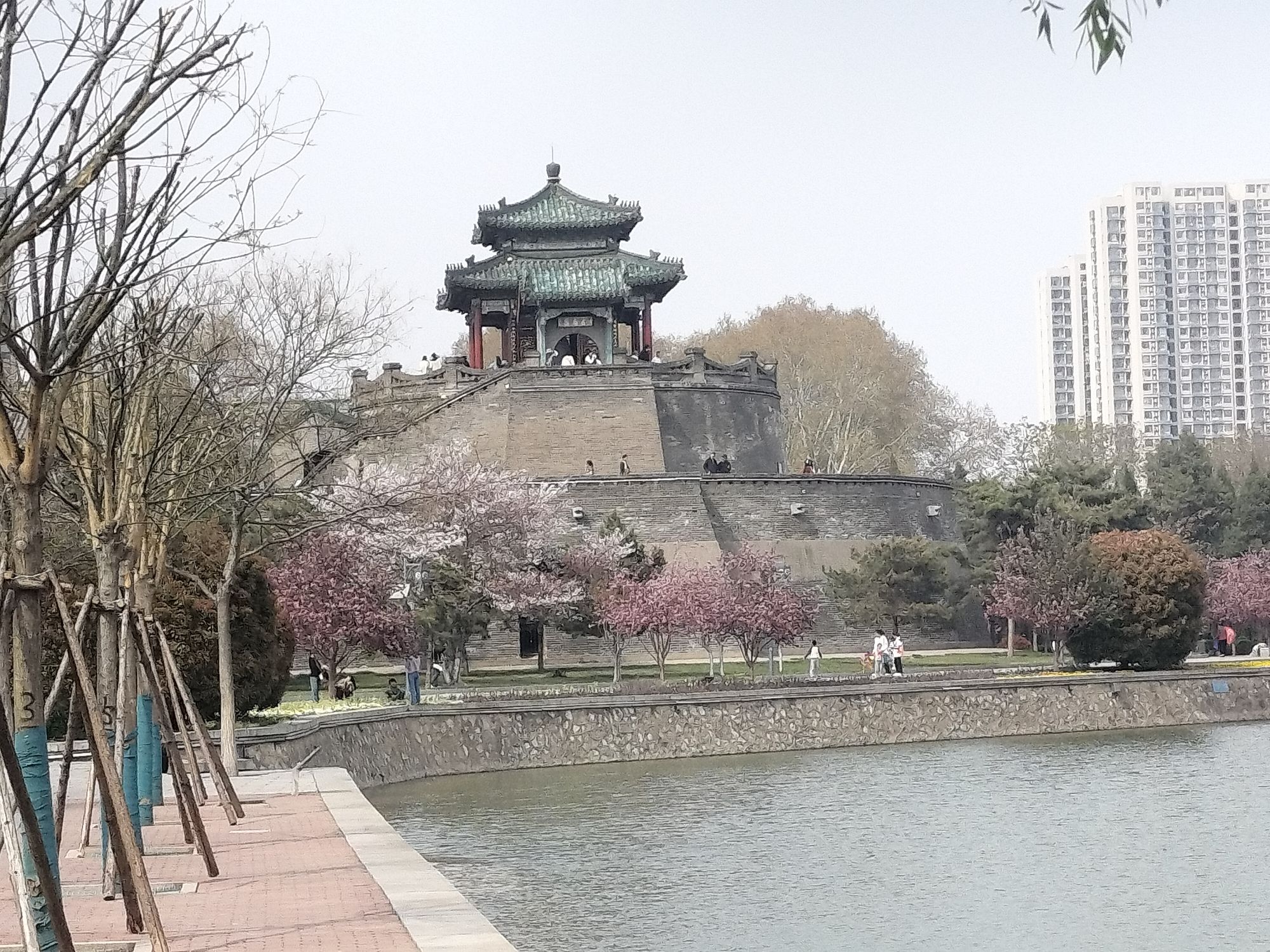 丛台公园旅行图片 1