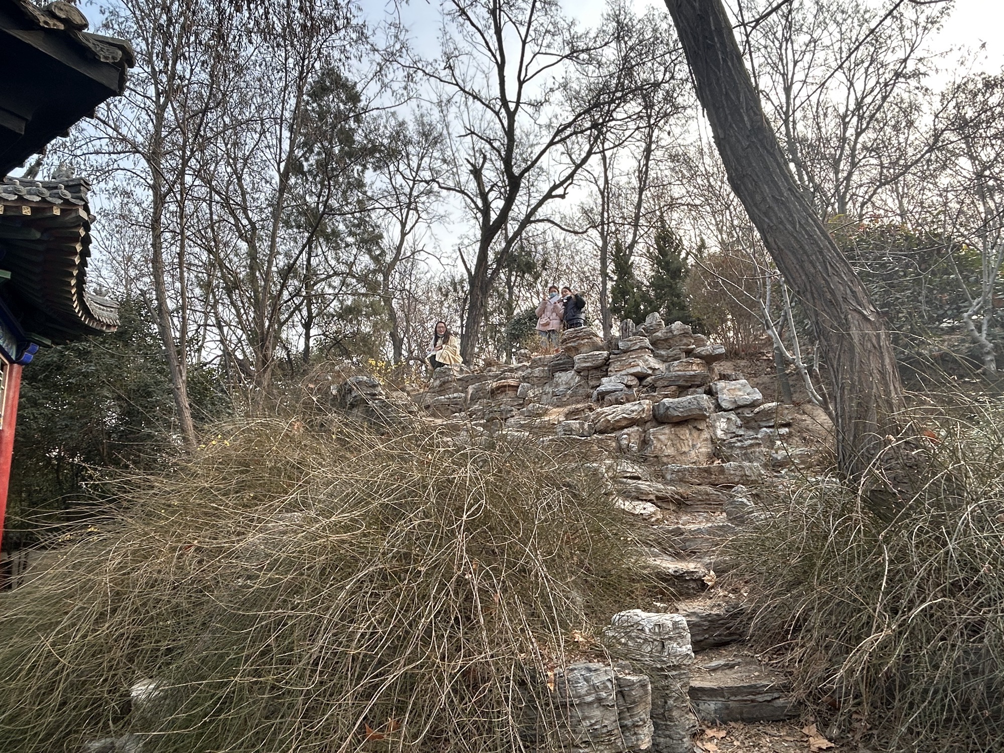 丛台公园旅行图片 2