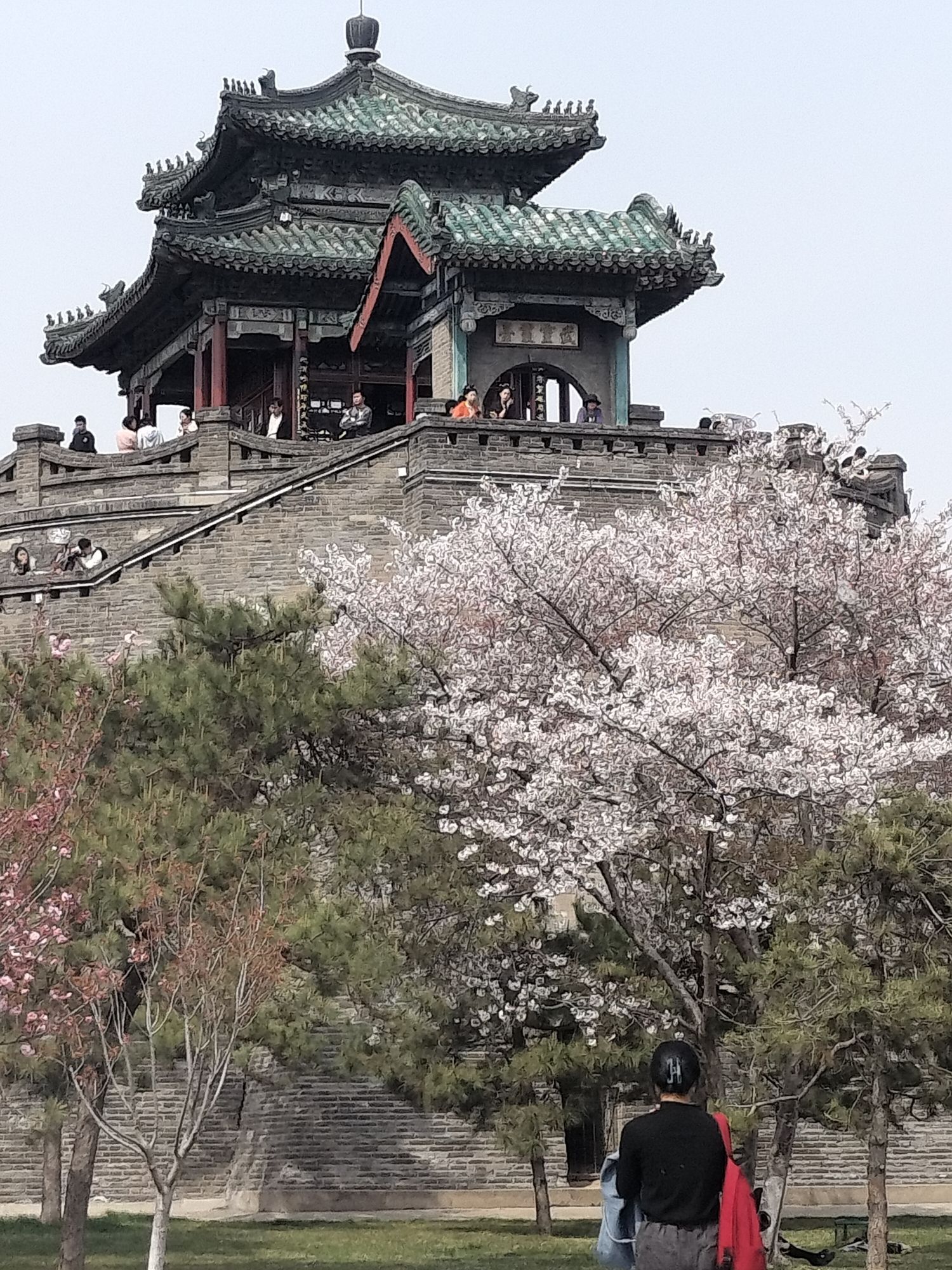 丛台公园旅行图片 3