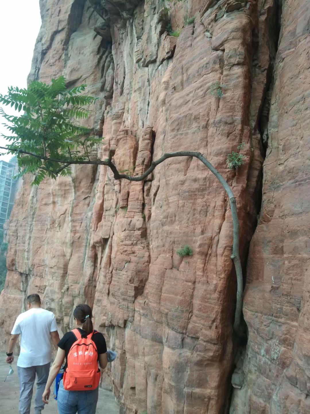 太行五指山旅行图片 2
