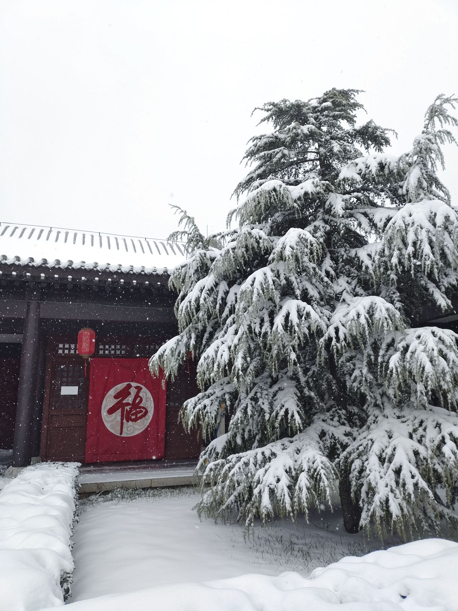 大名石刻博物馆旅行图片 2