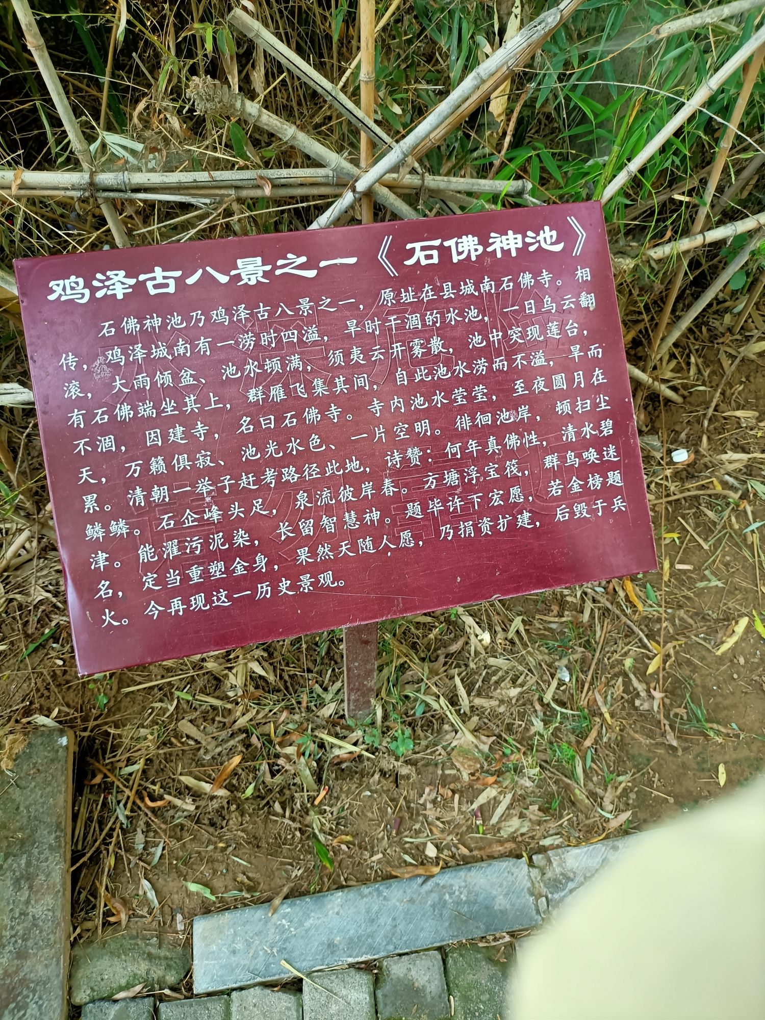 诗经文化园旅行图片 1