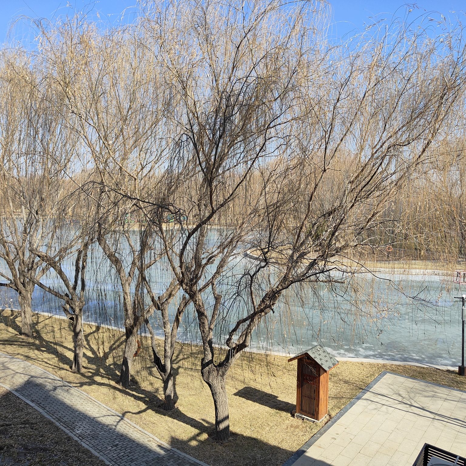 诗经文化园旅行图片 2