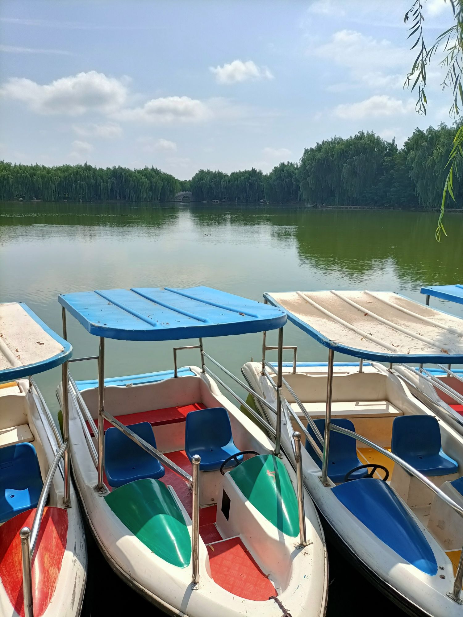 诗经文化园旅行图片 3