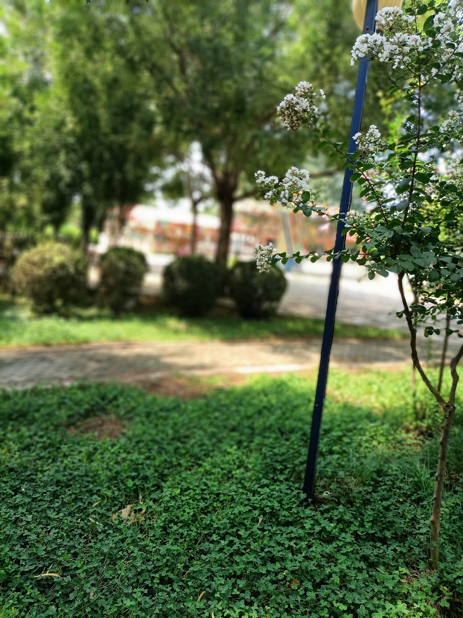 诗经文化园旅行图片 2