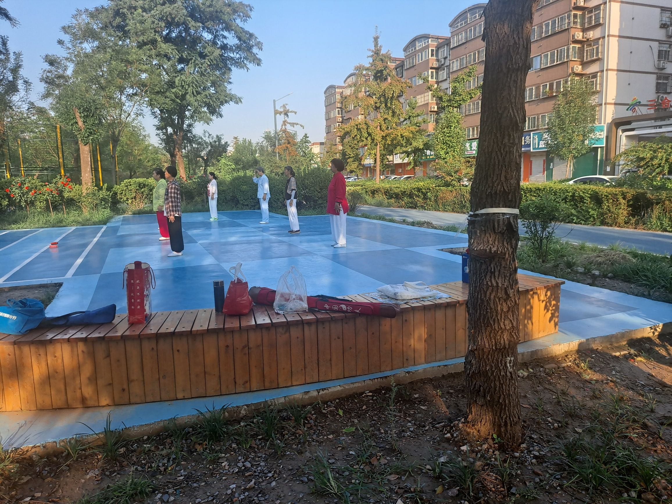王郎城遗址园旅行图片 1