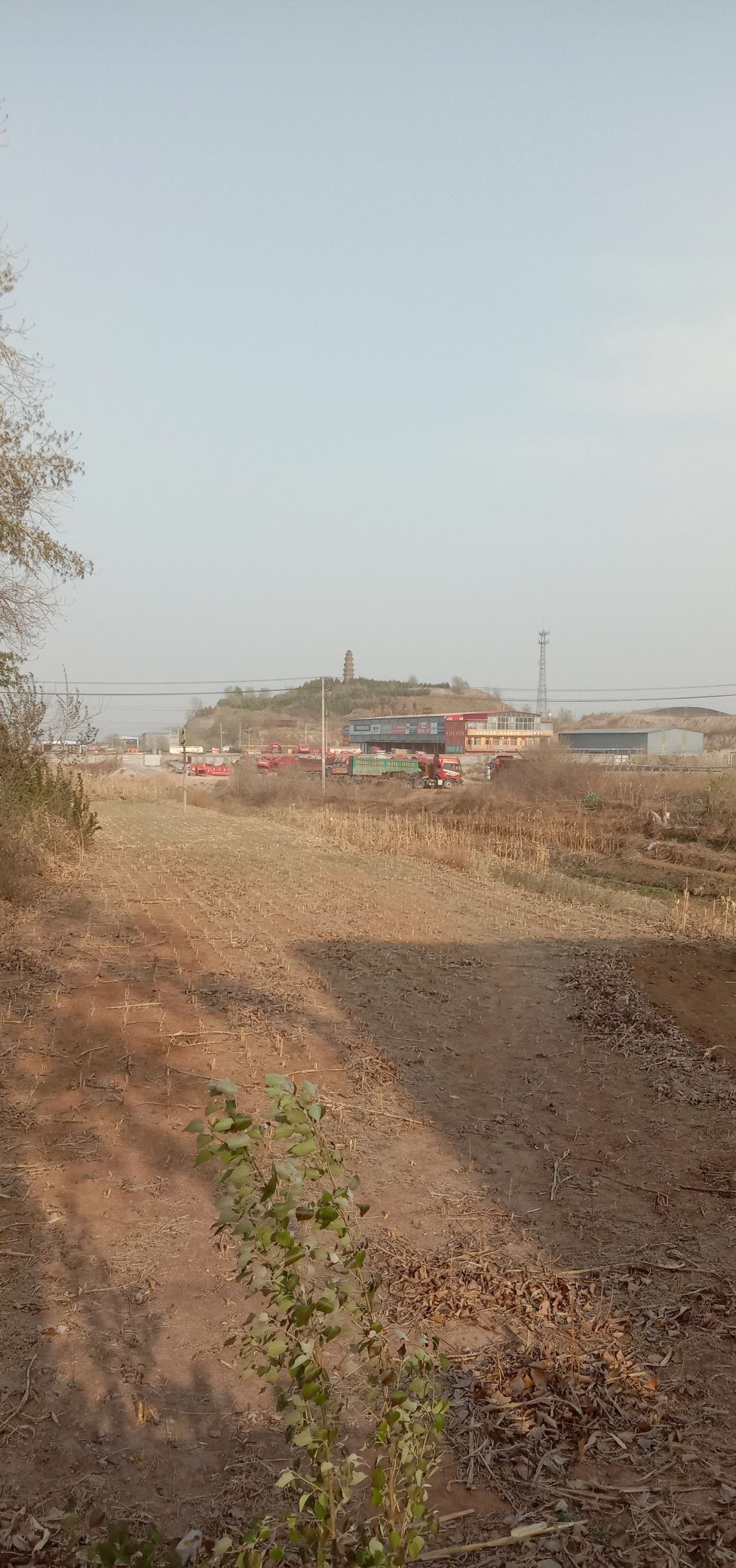玉峰塔旅行图片 1
