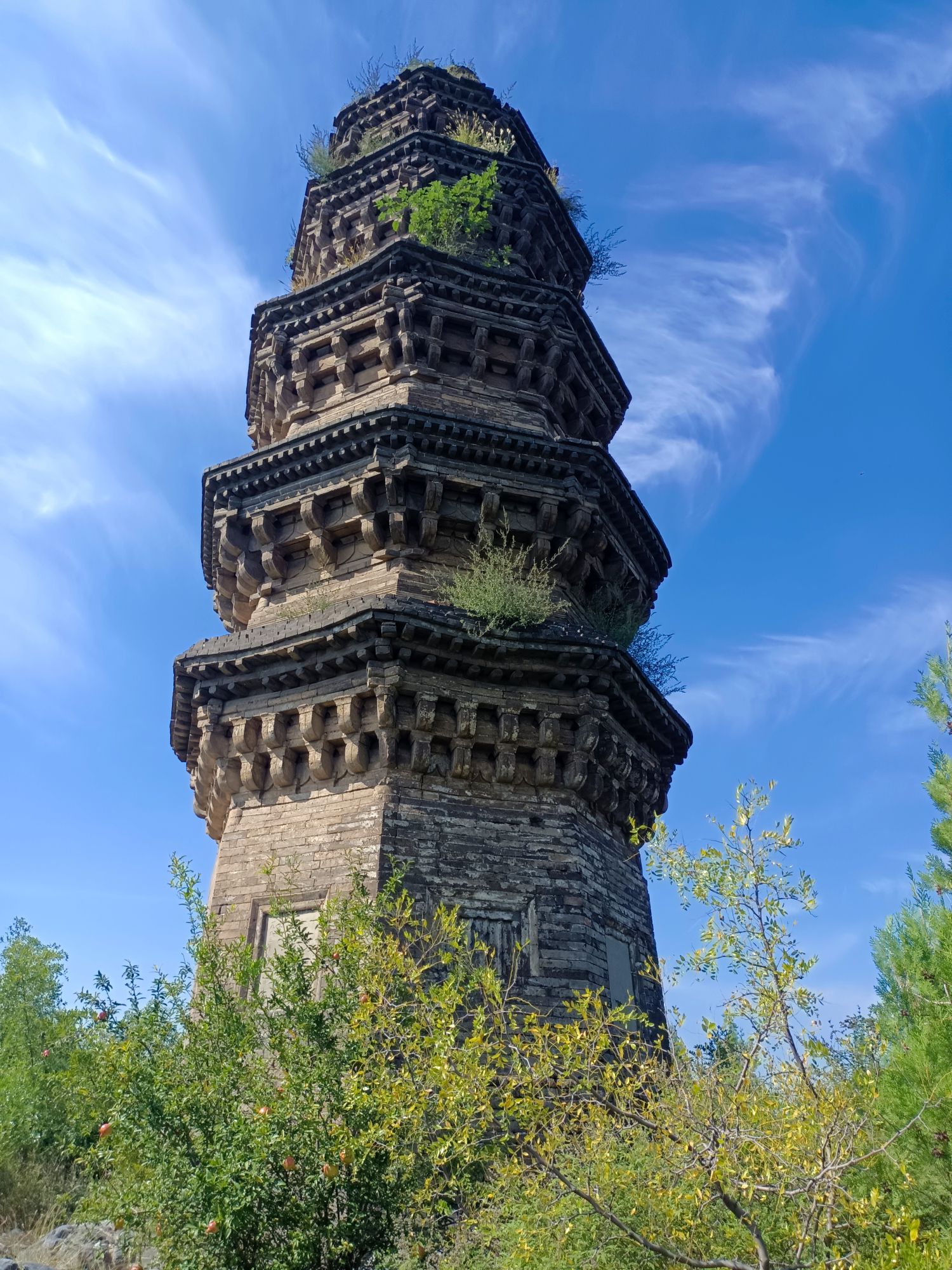 玉峰塔旅行图片 1