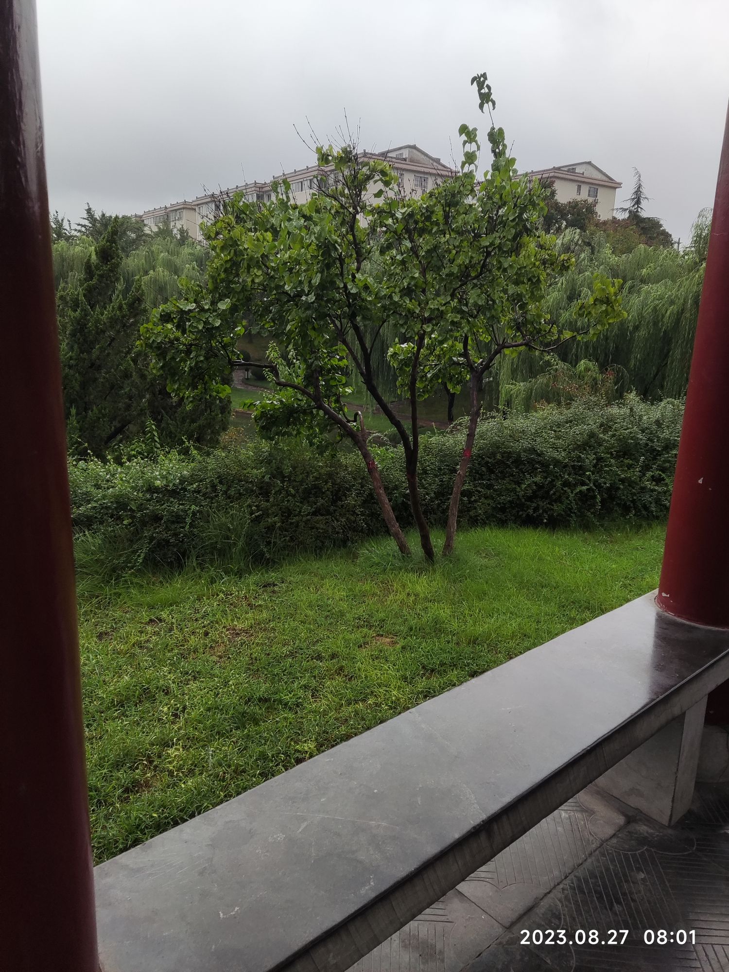 西岭湖南园旅行图片 1