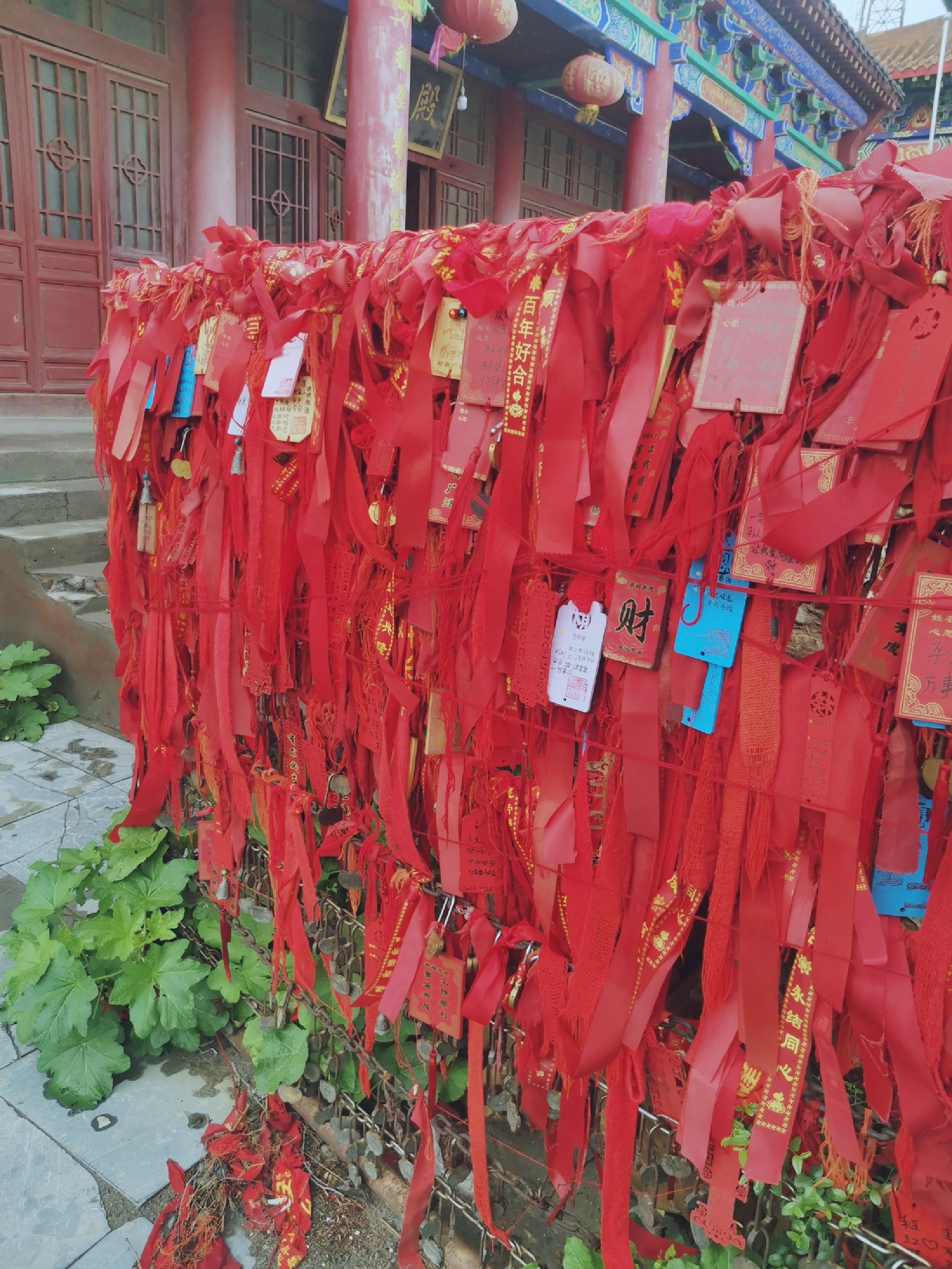 明山公园旅行图片 1