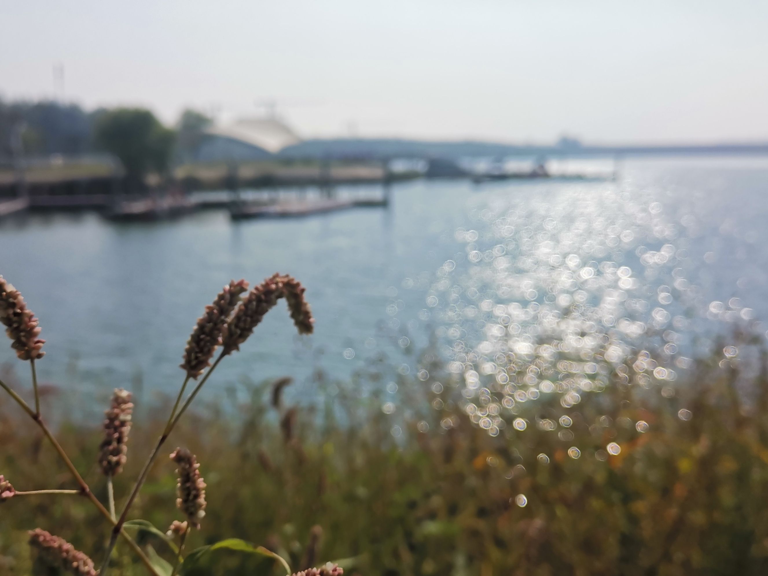 蟠龙湖景区(装修中)旅行图片 2