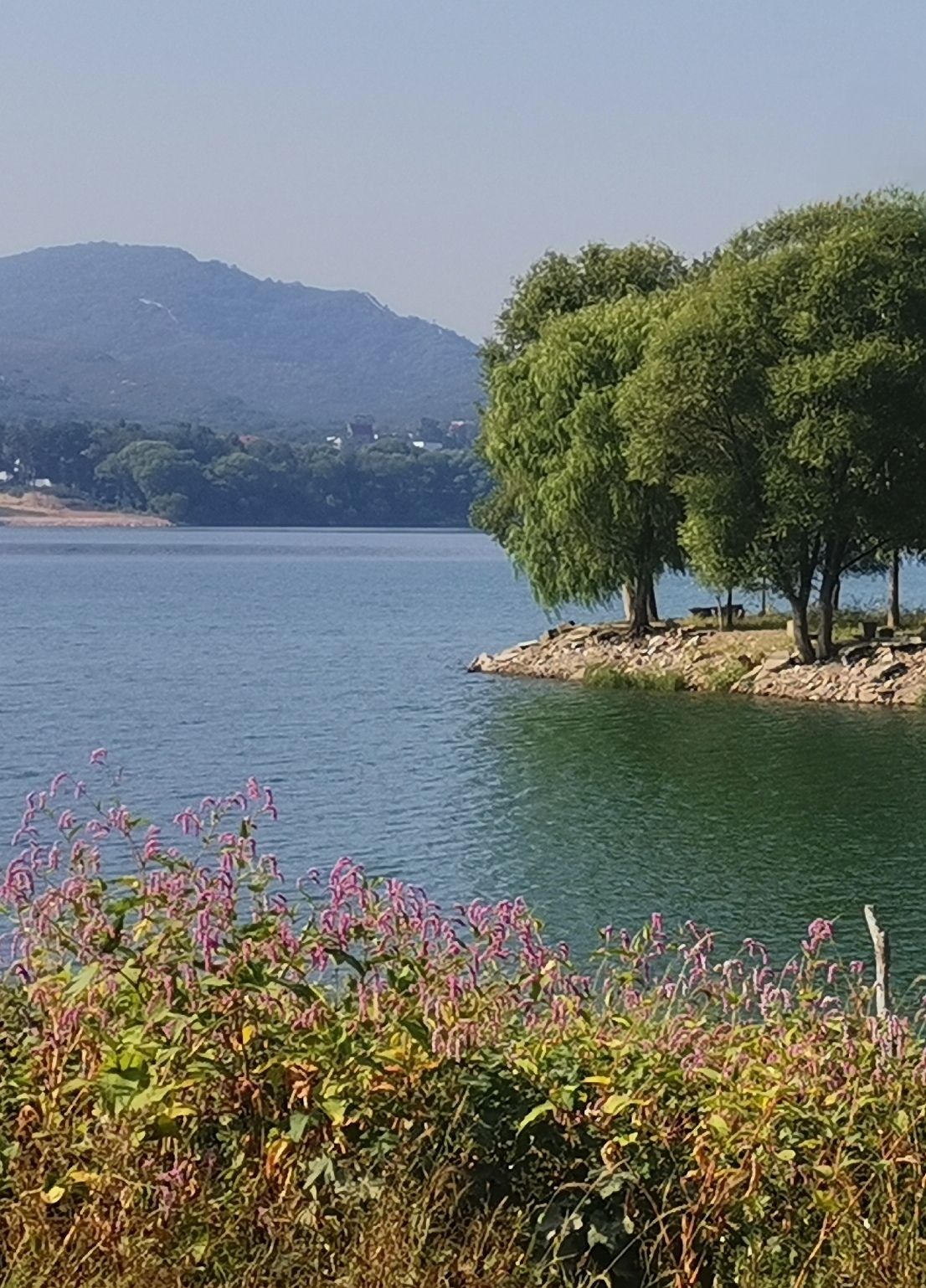 蟠龙湖景区(装修中)旅行图片 3