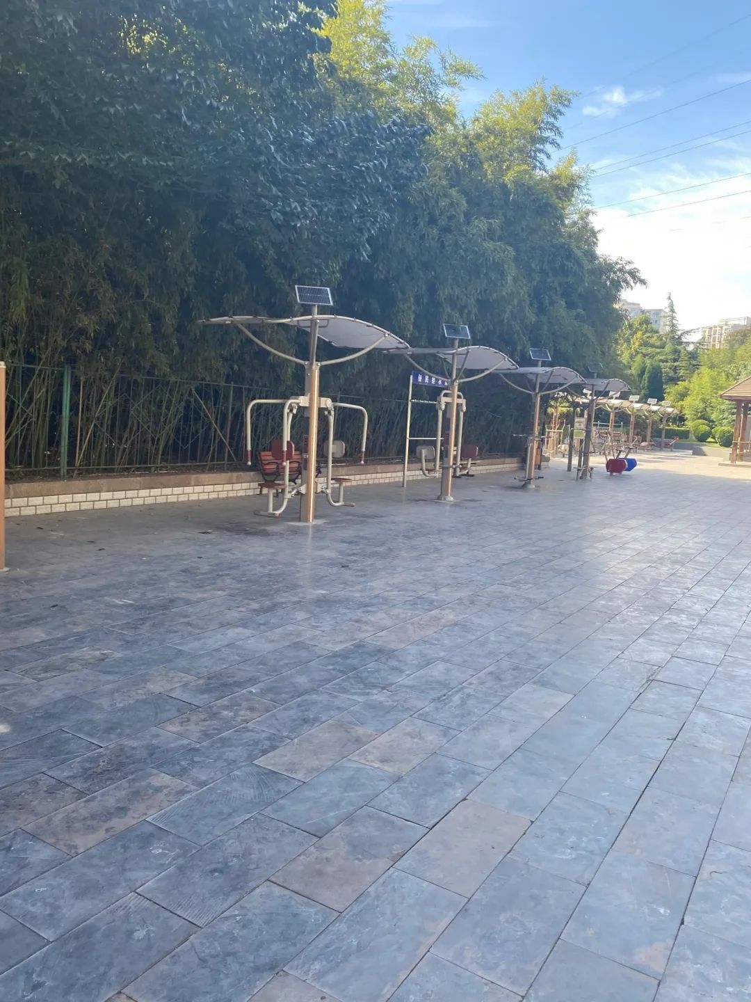 友谊公园旅行图片 3