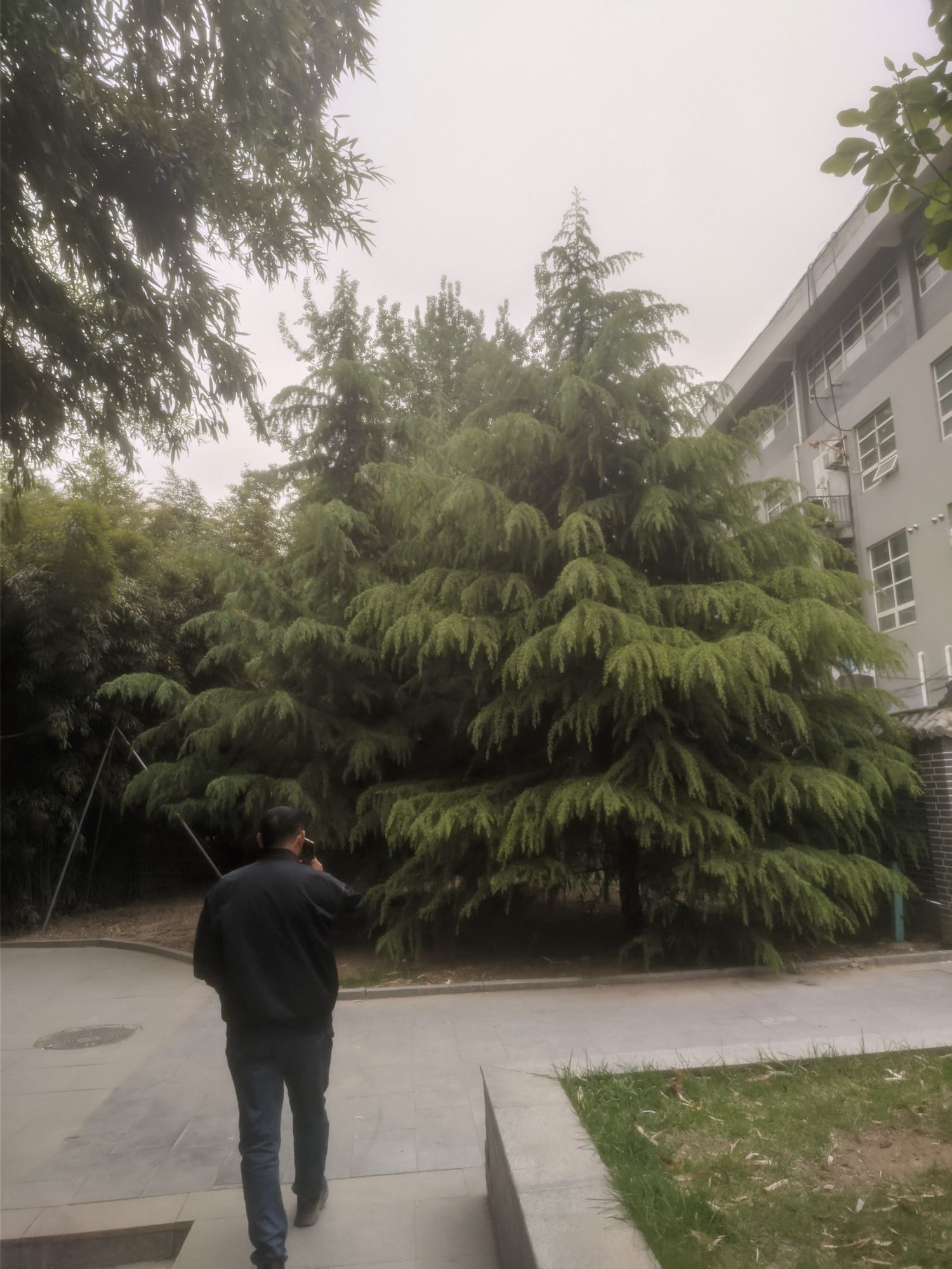 友谊公园旅行图片 2
