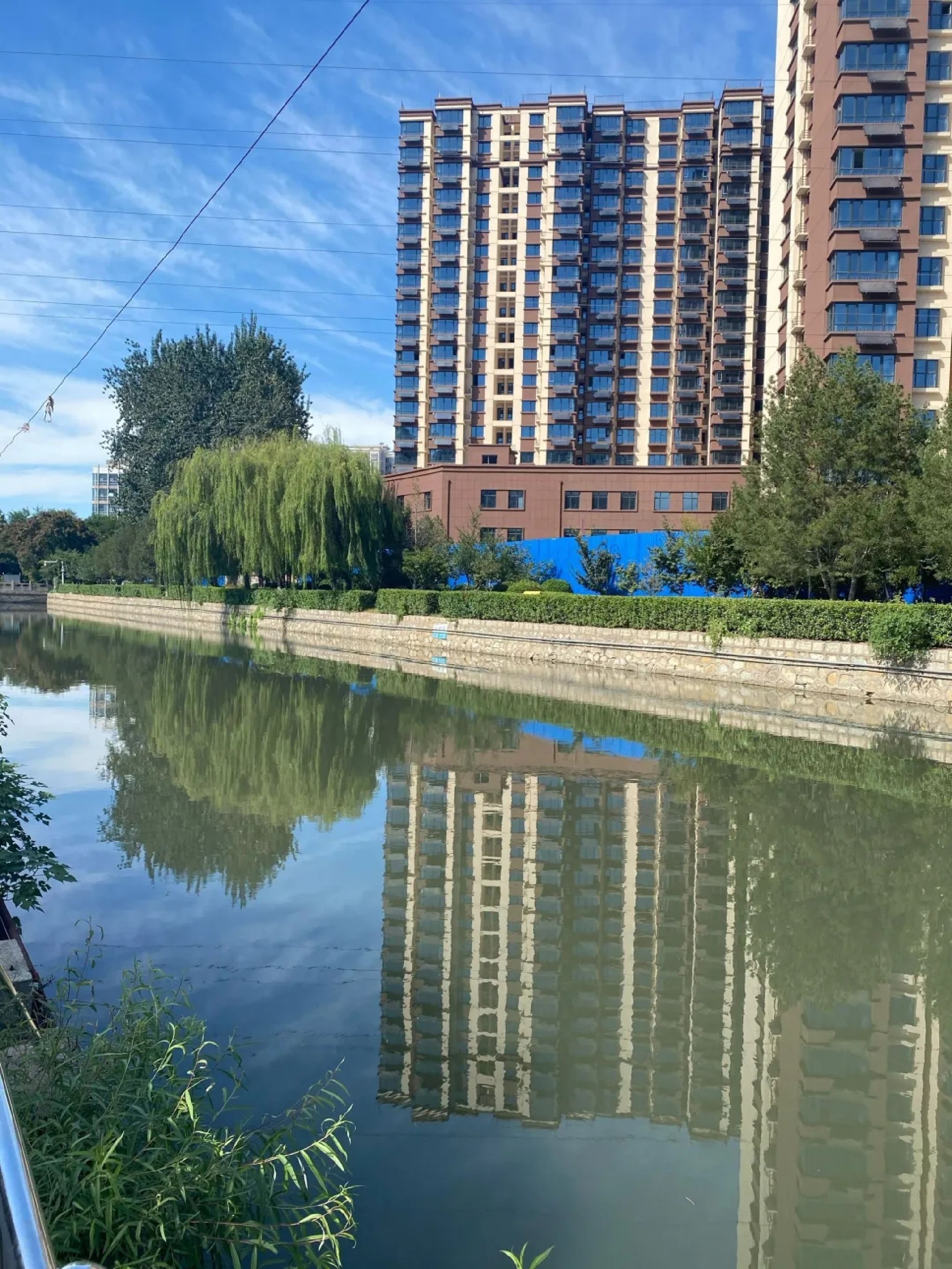 友谊公园旅行图片 2