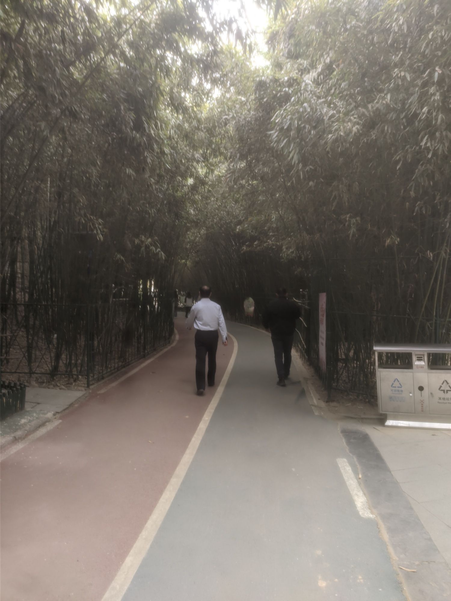 友谊公园旅行图片 3