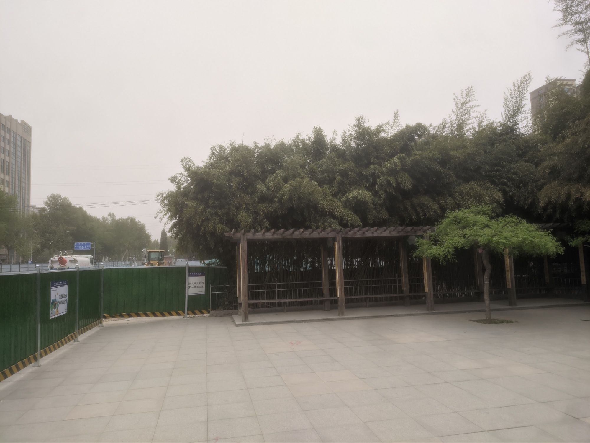 友谊公园旅行图片 1