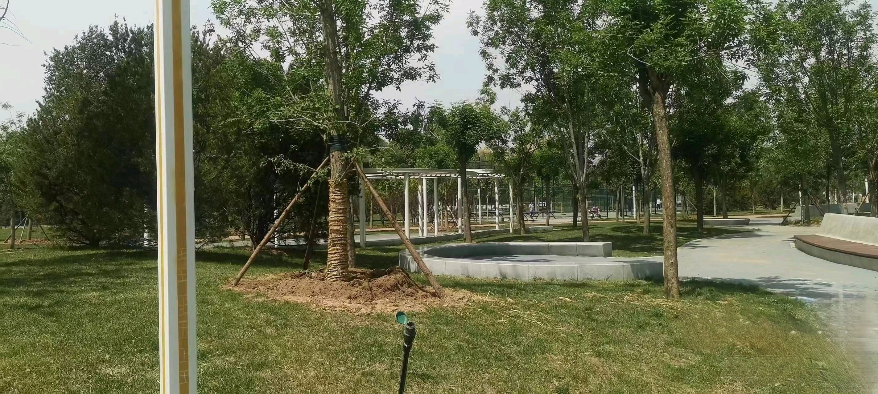 友谊公园旅行图片 3