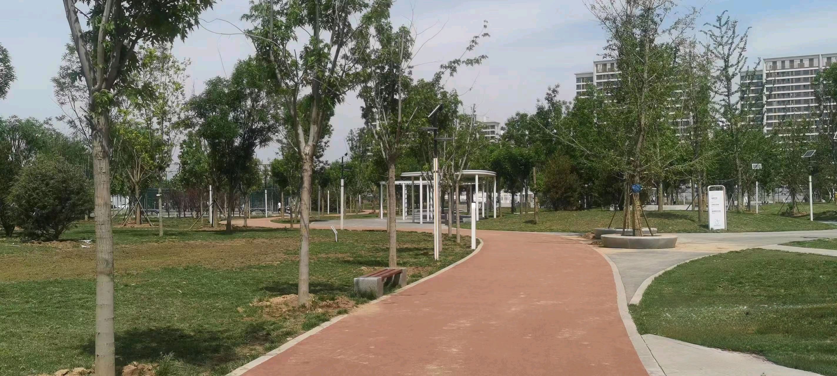 友谊公园旅行图片 2