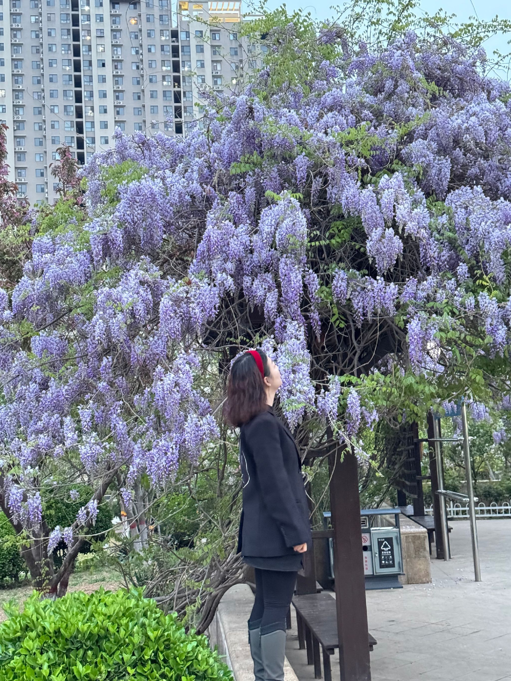 花卉园旅行图片 1