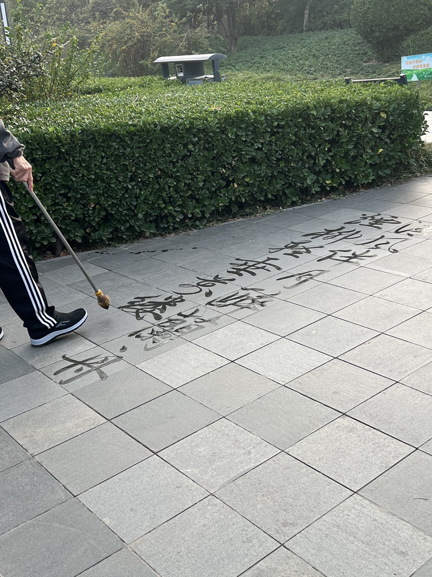 花卉园旅行图片 1