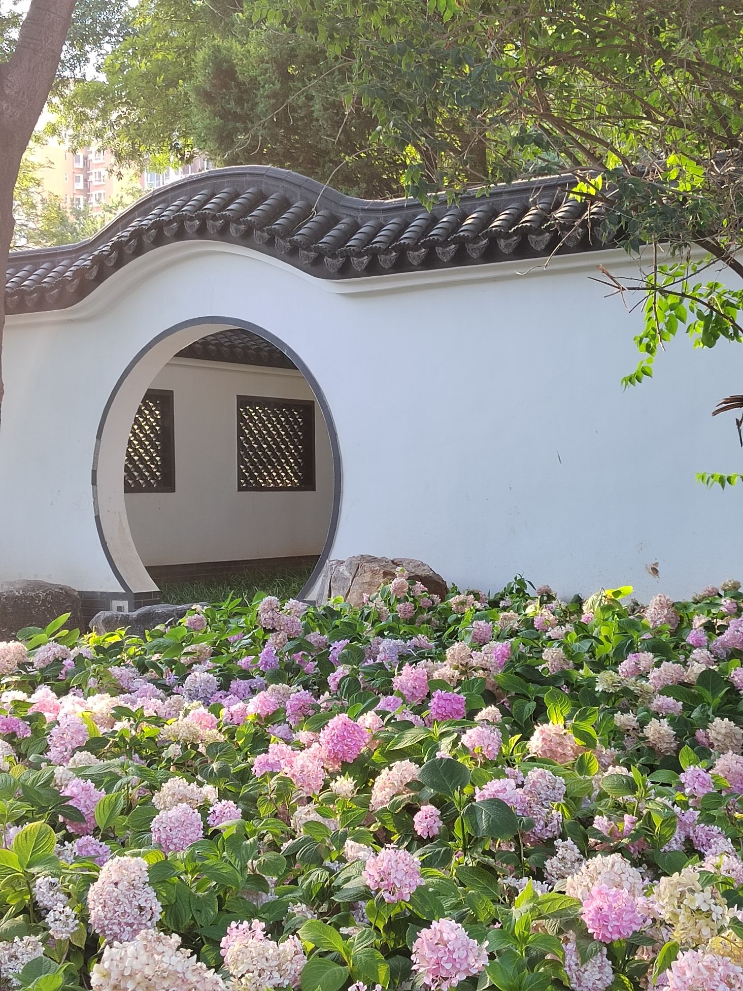 明珠公园旅行图片 3