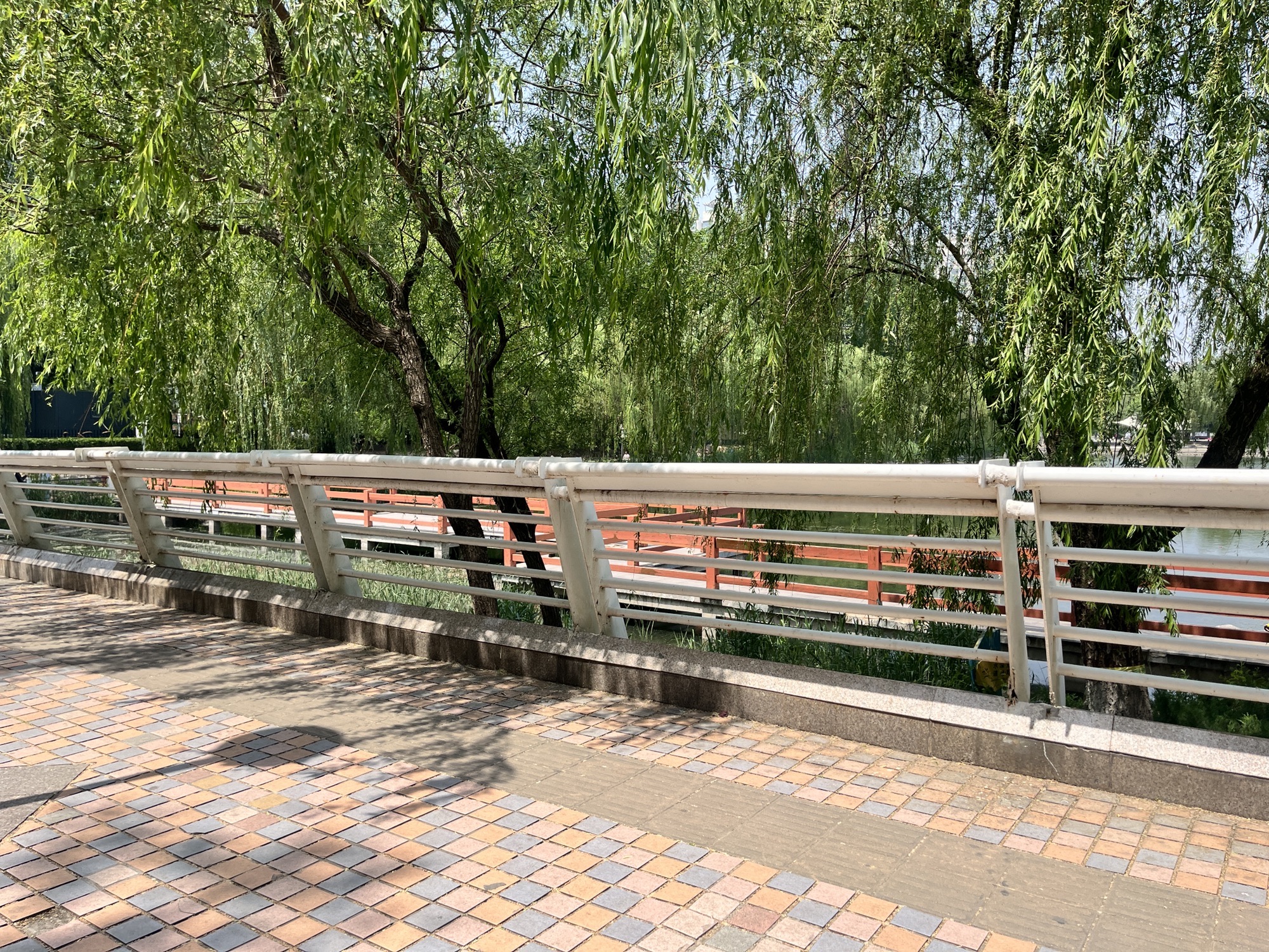 长安公园旅行图片 1